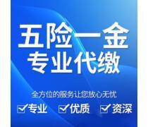 個人社保代繳補(bǔ)繳優(yōu)選商家及代理服務(wù)推薦